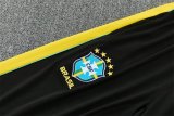 26/27 (2026)  Brazil Light Green 1:1 Quality Training Jersey
