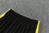 26/27 (2026)  Brazil Light Green 1:1 Quality Training Jersey