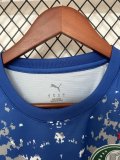 26/27（2026） Palmeiras  Goalkeeper  Fans 1:1 Quality  Soccer Jersey