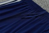 26/27 (2026)  Ajax Training Blue  1:1 Quality Training Jersey