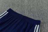 26/27 (2026)  Ajax Blue 1:1 Quality Training Jersey（A-Set）