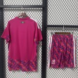 26/27 (2026) Mexico Goalkeeper   With Pants Sets Fans  1:1 Quality Soccer Jersey