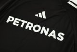 2025  Adidas Mercedes-Benz T-shirt Black 1:1 Quality F1 Jerseys