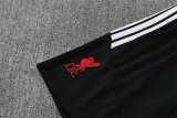 26/27 (2026)  Liverpool Black  1:1 Quality Training Jersey（A-Set）