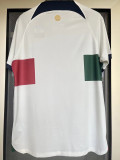 2022-23 Portugal Away World Cup Fans Soccer Jersey