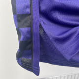 2023-24 Kings SABONIS #10 Purple Top Quality Hot Pressing NBA Jersey (Trapeze Edition)飞人版