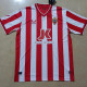 2023-24 UD Almeria Home Fans Soccer Jersey (带广告)