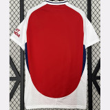 2024-25 ARS Home Fans Soccer Jersey