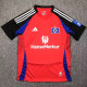 2024-25 Hamburg SV Third Fans Soccer Jersey