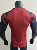 2025-26 Man Utd Red Black Player Version Training shirts (蛇纹)