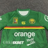 2025-26 Cameroon Green Training shirts