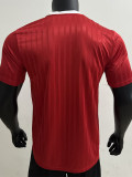 2025 AD Casual Red Player Version Training shirts (三叶草)