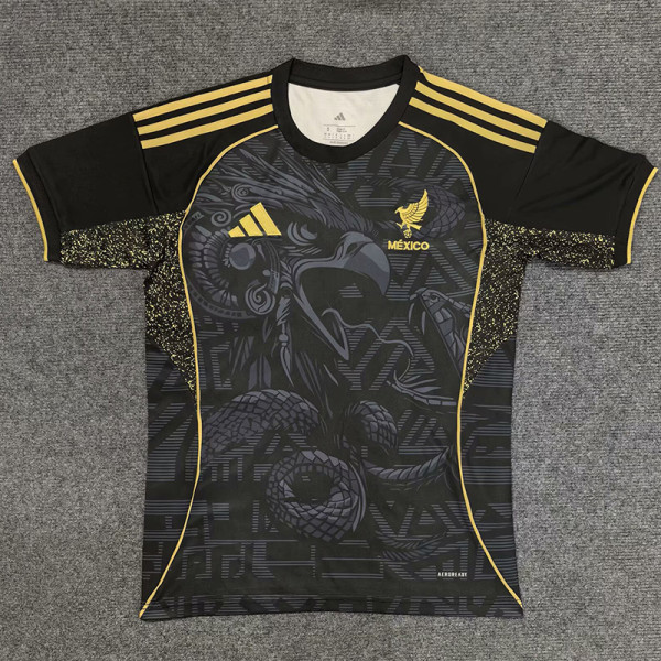 2025-26 Mexico Black Special Edition Training Shirts (蛇鹰)