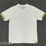 2025-26 Cameroon White Training shirts