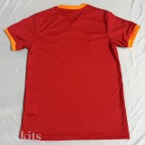 2025-26 Brazil Red Special Edition Training shirts (V领)