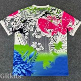 2025-26 Brazil Pink Blue Special Edition Training shirts