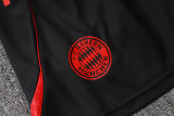 2025-26 Bayern Black Training Short Suit #D2556
