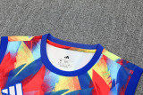 2025-26 ARS Red blue Tank top and shorts suit