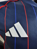 2025-26 Lyon Away Player Version Soccer Jersey