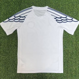 2025-26 PSG White Special Edition Fans Training shirts (JD蓝标)