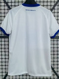 2025-26 Dinamo Zagreb Away Fans Soccer Jersey