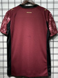 2025-26 Galatasaray Third Fans Soccer Jersey (五星)