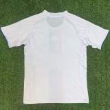 2025-26 Lyon Home Fans Soccer Jersey