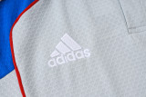 2025-26 Bayern Grey Short shirts and Long trousers Suit #C2547