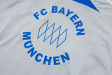 2025-26 Bayern Grey Training Short Suit #D25128