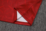 2025-26 Sao Paulo Red Training Short Suit #D25129