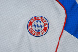 2025-26 Bayern Grey Training Short Suit #D25128