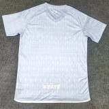 2024-25 Algeria Grey Special Edition Fans Training shirts