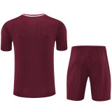 2025-26 Bayern Jujube red Training Short Suit
