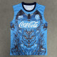 2025-26 Napoli Blue Vest