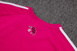 2025-26 Flamengo Pink Training Short Suit #D25153
