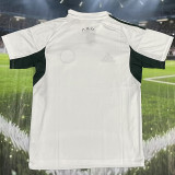 2025-26 Panathinaikos White Fans Soccer Jersey