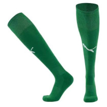 2025-26 Dortmund Green Socks