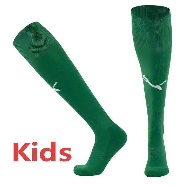 2025-26 Dortmund Green Kids Socks(儿童)