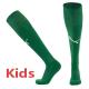 2025-26 Dortmund Green Kids Socks(儿童)