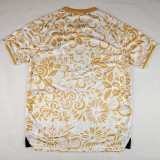 2025-26 Palestina FC Yellow White Training shirts (阿拉伯文)