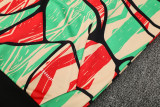 2025-26 ARS Green orange Hoodie Tracksuit (卫衣套装)