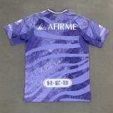 2025-26 Tigres UANL Purple Training shirts