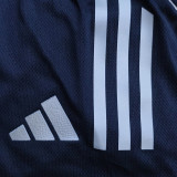 2025-26 AL-Nassr Away Kids Player Version Soccer Jersey (球员童装)