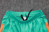 2025-26 Fluminense Green Training Short Suit #D25178