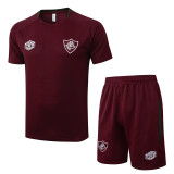 2025-26 Fluminense Jujube red Training Short Suit #D25179
