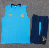 2025-26 Gremio Lake blue Tank top and shorts suit #D25172
