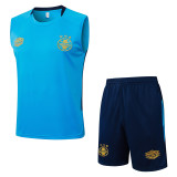 2025-26 Gremio Lake blue Tank top and shorts suit #D25172
