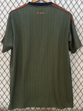 2025-26 Bayern Green Grey Casual Edition Fans Training shirts
