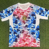 2025-26 Bathing APE Blue Pink Special Edition Training shirts