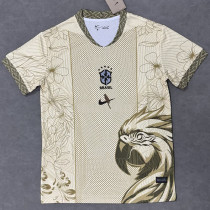 2025-26 Brazil Gold Special Edition Training shirts